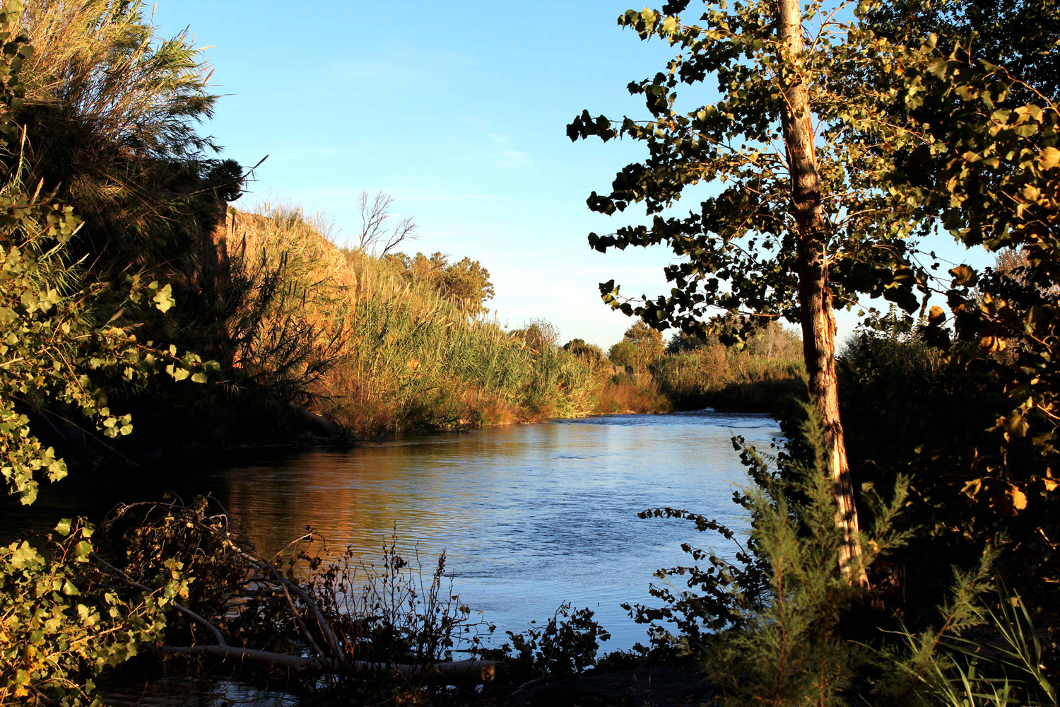 rio-de-ribarroja